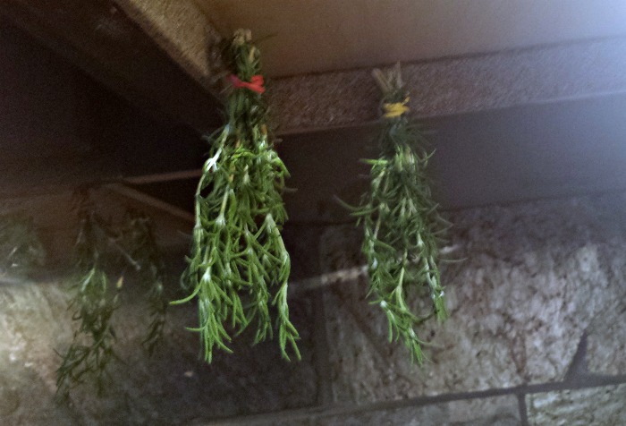 Hanging Herbs 6
